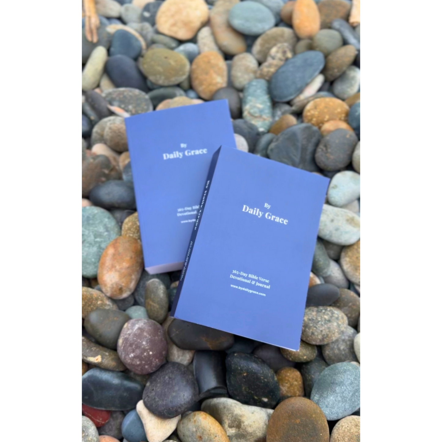 By Daily Grace: 365-Day Bible Verse Devotional & Journal