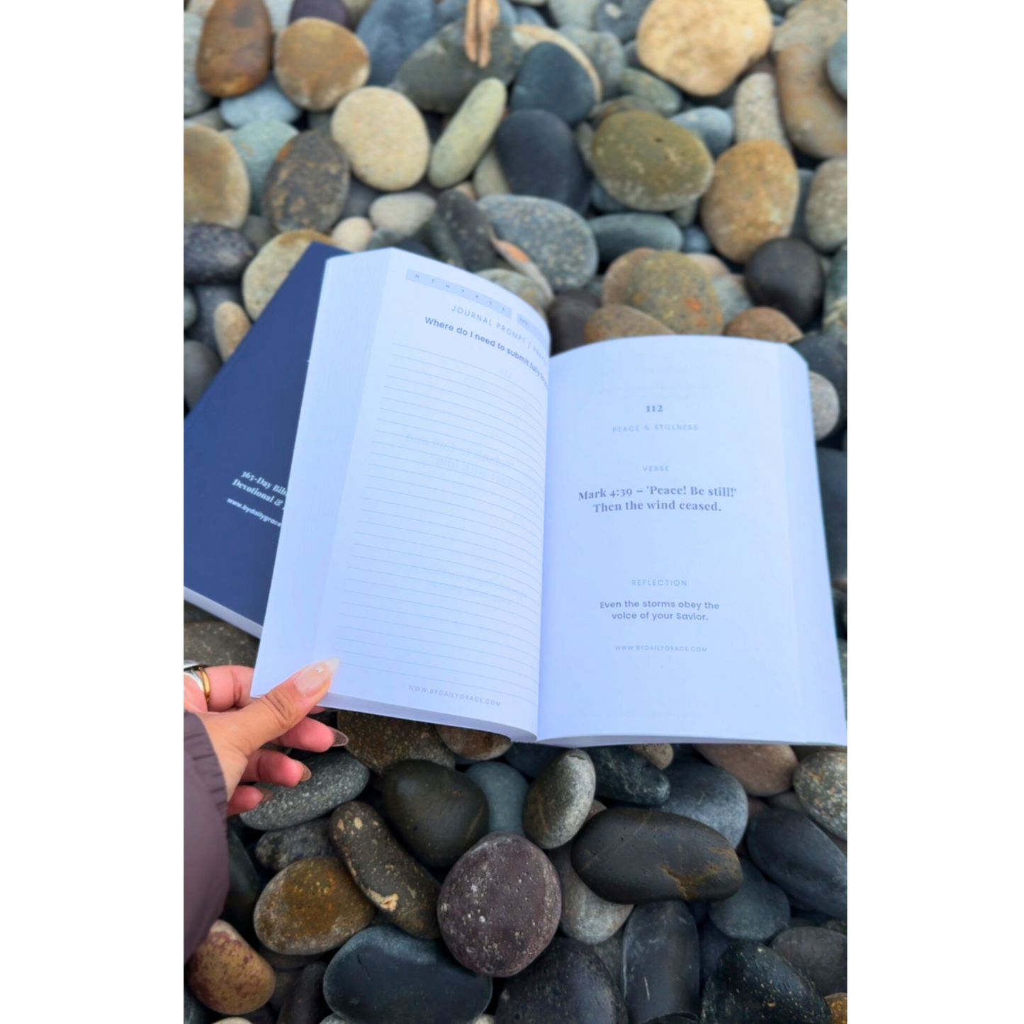 By Daily Grace: 365-Day Bible Verse Devotional & Journal