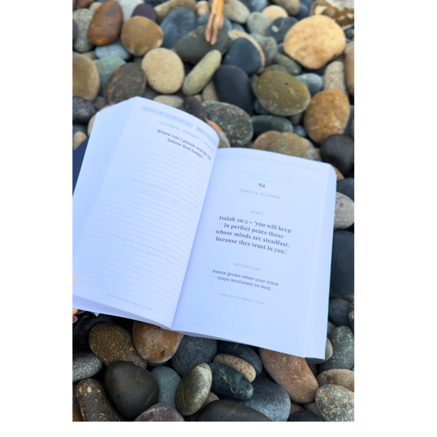 By Daily Grace: 365-Day Bible Verse Devotional & Journal