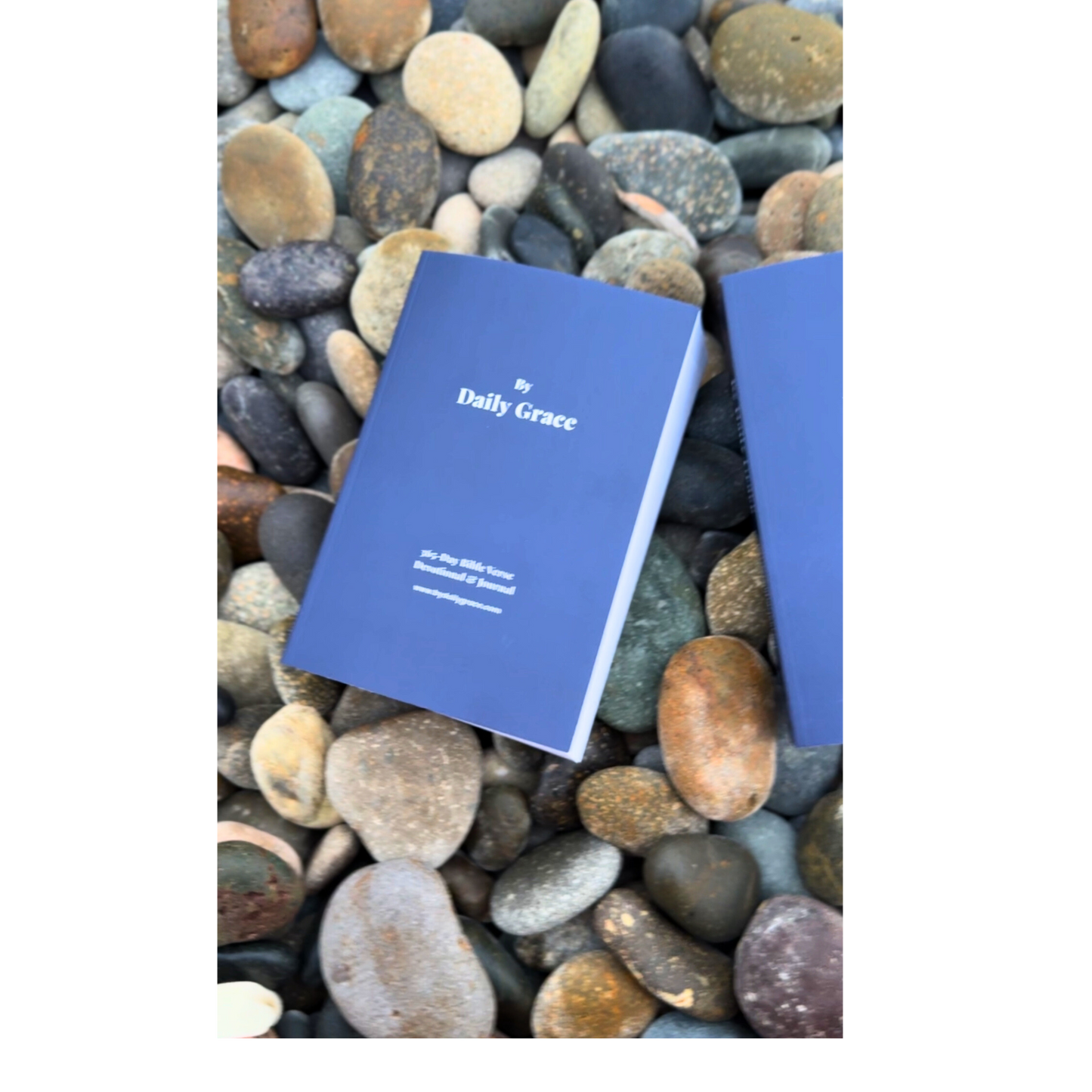 By Daily Grace: 365-Day Bible Verse Devotional & Journal
